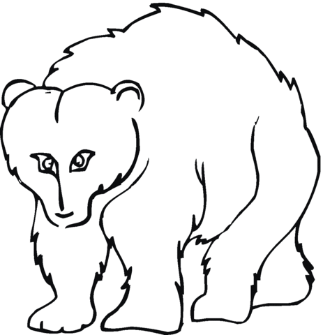 Cartoon Grizzly Bear Coloring Page